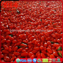 Excellen quality goji berries organic when to plant goji berries outside are goji berries ok while pregnant wholesales !